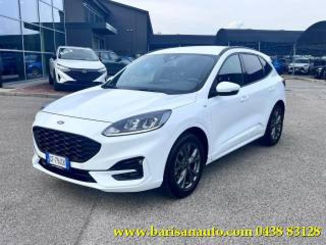 Ford Kuga 1.5 Ecoblue 120 Cv Aut. 2wd St-Line 