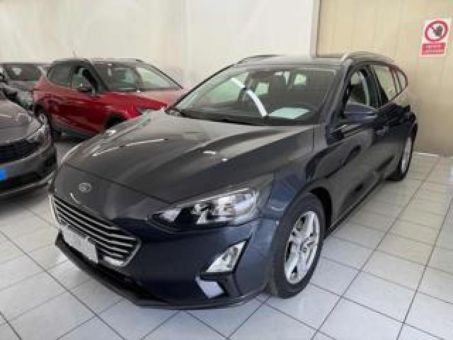 Ford Focus 1.5 Ecoblue 95 Cv Sw Business 
