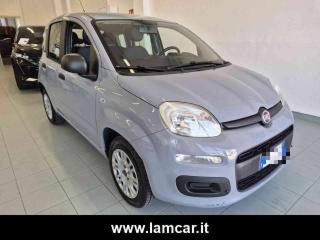 Fiat Panda 1.0 Firefly S&s Hybrid *prezzo Reale*  