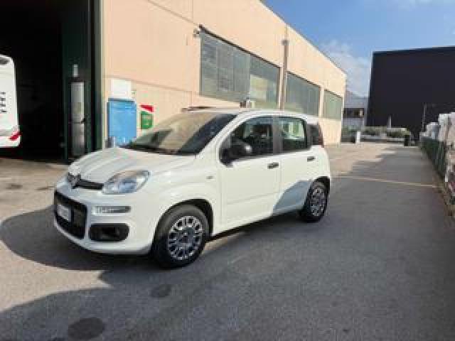 Fiat Panda 1.2 Easy Prezzo Reale !!! 