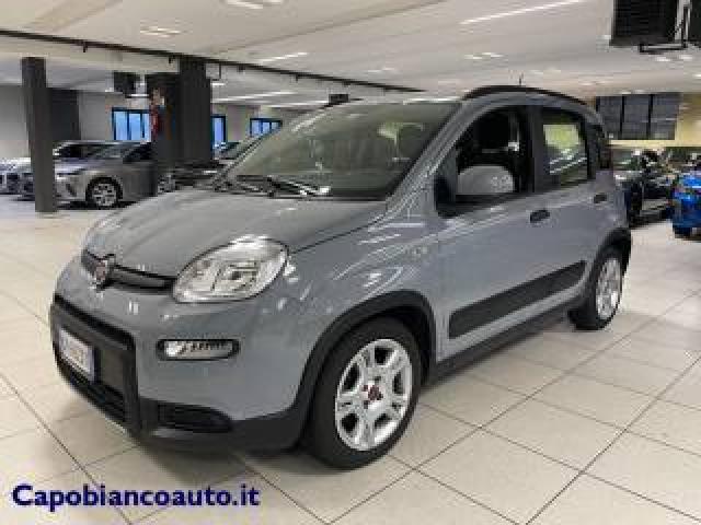 Fiat Panda 1.0 Firefly S&s Hybrid City Life+5posti+radiobt 