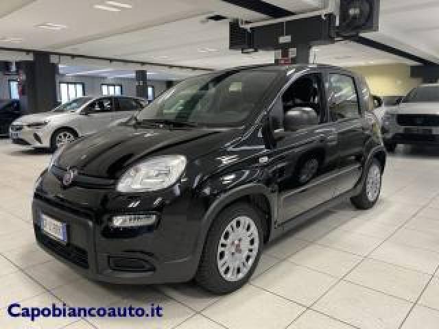 Fiat Panda 1.0 Firefly S&s Hybrid+5posti+sensori Parcheggio 