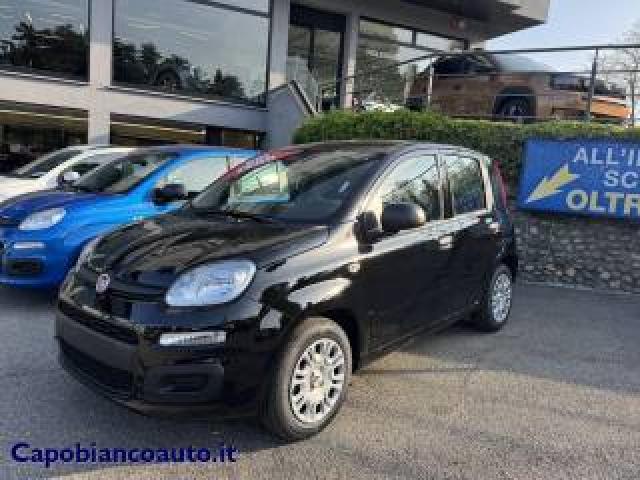 Fiat Panda 1.0 Firefly S&s Hybrid Icon Km0 Promo 