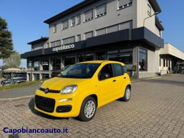 Fiat Panda 1.0 Firefly S&s Hybrid Icon+5posti Km0 Promo 