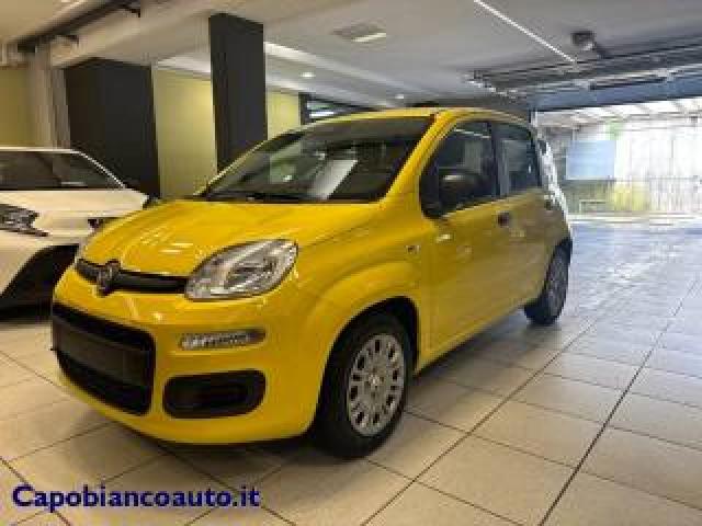 Fiat Panda 1.0 Firefly S&s Hybrid Pop Km0 Promo 