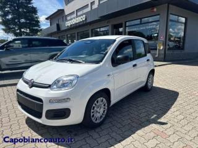 Fiat Panda 1.0 Firefly S&s Hybrid Pop Km0 Promo 