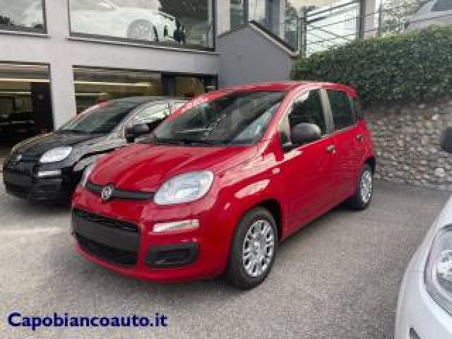 Fiat Panda 1.0 Firefly S&s Hybrid Pop Km0 Promo 
