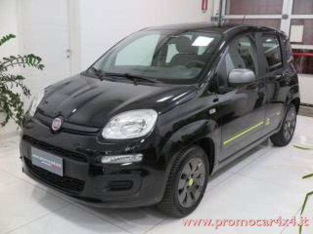 Fiat Panda 1.2 Young 69cv auto Con Solo 49.000 Km!!! 