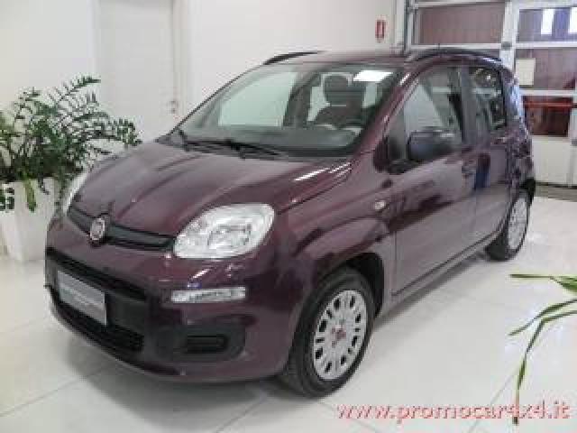 Fiat Panda 1.2 Pop69cv Euro6 unico Proprietario 