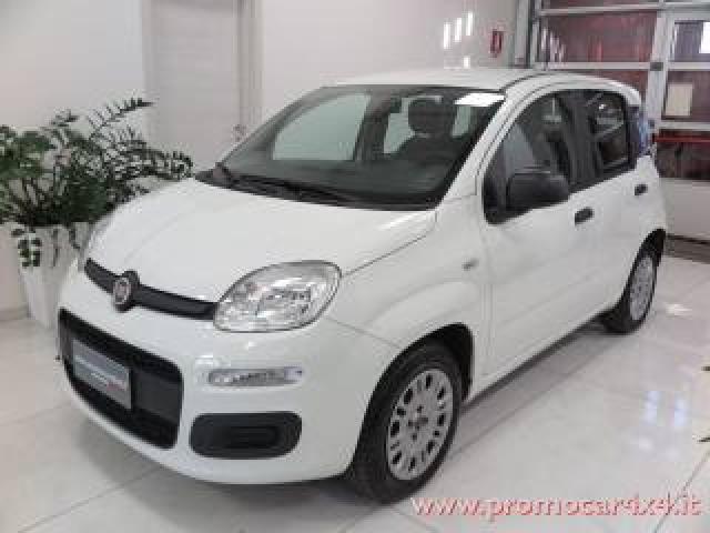 Fiat Panda 1.2 Easy solo 64.000 Km!!! Unico Proprietario!!! 