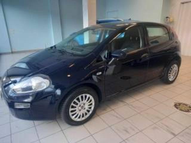 Fiat Punto 1.3 Multijet E6 95 Cv  