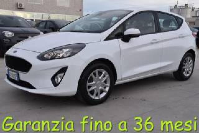 Ford Fiesta 1.1 75 Cv 5 Porte Business 
