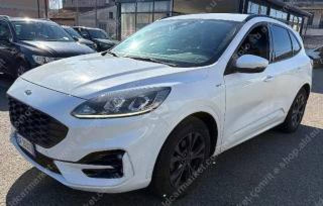 Ford Kuga 1.5 Ecoblue 120 Cv Aut. 2wd St-Line 
