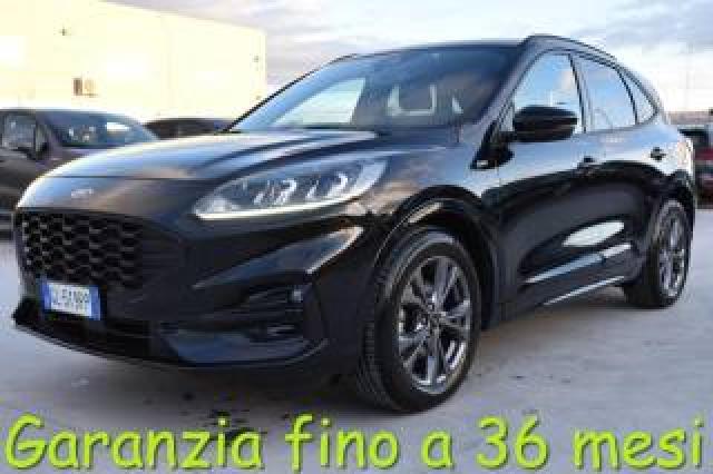 Ford Kuga 1.5 Ecoblue 120 Cv Aut. 2wd St-Line 