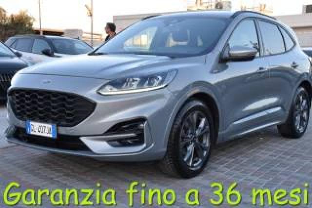 Ford Kuga 1.5 Ecoblue 120 Cv 2wd St-Line 
