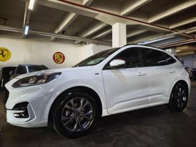 Ford Kuga 1500 Tdci St-Line Cv.120 Km.38.000 Gar.11/2028 