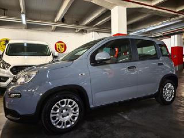 Fiat Panda 1.0 Firefly S&s Hybrid Km. 16.000   Unicoprop 