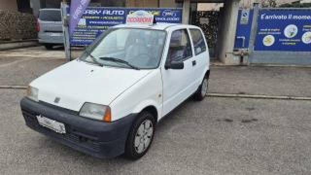 Fiat Cinquecento 900i Cat Young 