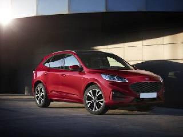 Ford Kuga 1.5 Ecoblue 120 Cv 2wd Titanium 