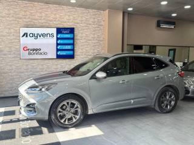 Ford Kuga 1.5 Ecoblue 120 Cv Aut. 2wd St-Line 