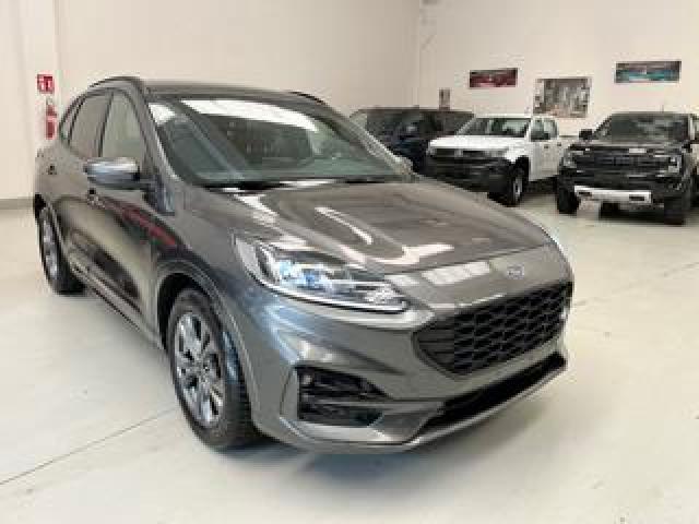 Ford Kuga 2.0 Ecoblue 120 Cv Aut. 2wd St-Line 