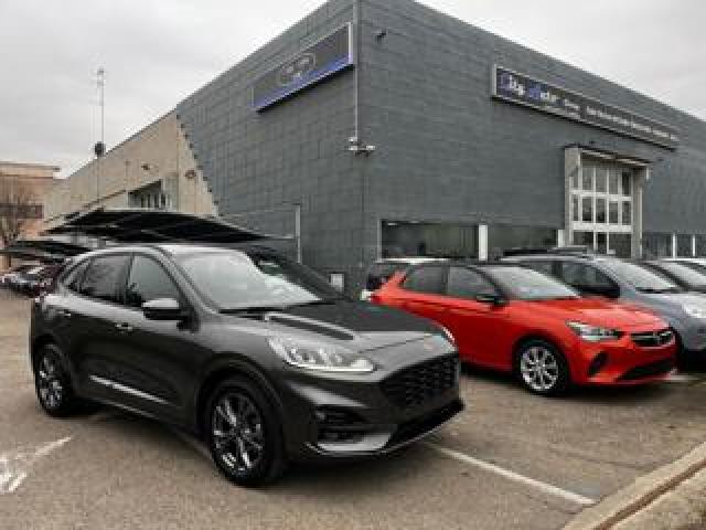 Ford Kuga 2.0 Ecoblue 120 Cv Aut. 2wd St-Line 