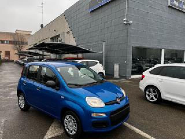 Fiat Panda 1.0 Firefly S&s Hybrid Pandina Km 0 