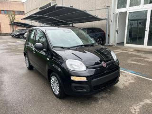 Fiat Panda 1.0 Firefly S&s Hybrid Pandina Km 0 