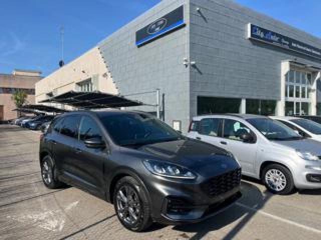 Ford Kuga 2.0 Ecoblue 120 Cv Aut.  St-Line 