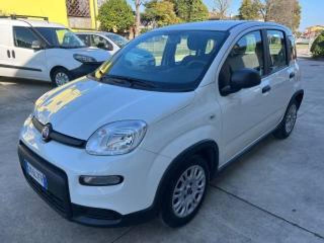 Fiat Panda 1.0 Firefly S&s Hybrid Prezzo Reale Senza Vincoli 