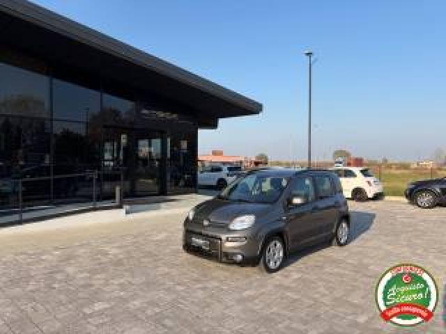 Fiat Panda 1.0 Firefly Hybrid City Life Anche Neopatentati 
