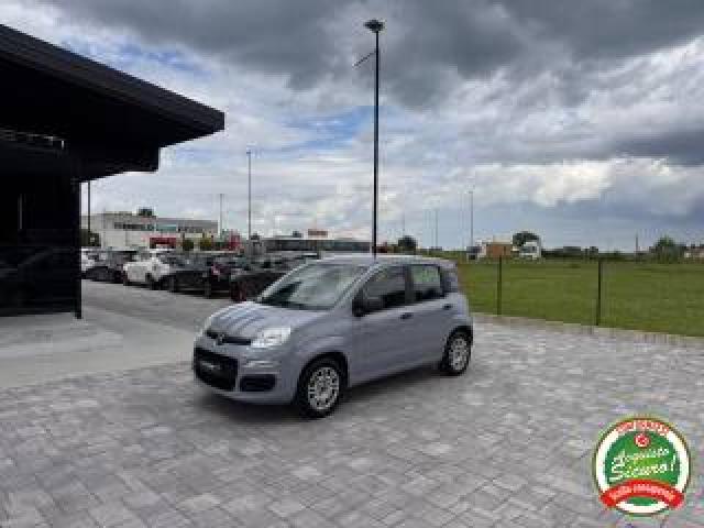 Fiat Panda 1.2 Easy Anche Per Neopatentati 