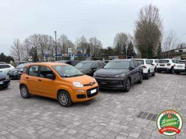 Fiat Panda 1.2 Easy Anche Per Neopatentati 