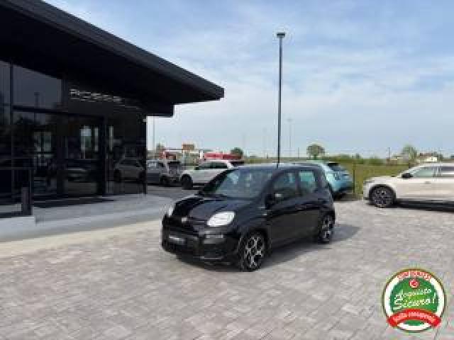 Fiat Panda 1.0 Firefly Sport Hybrid Anche Neopatentati 