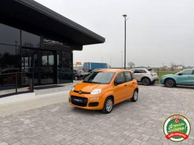 Fiat Panda 1.2 Easy Anche Per Neopatentati 