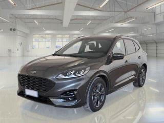 Ford Kuga 2.0 Ecoblue 120 Cv Aut. 2wd St-Line Business 
