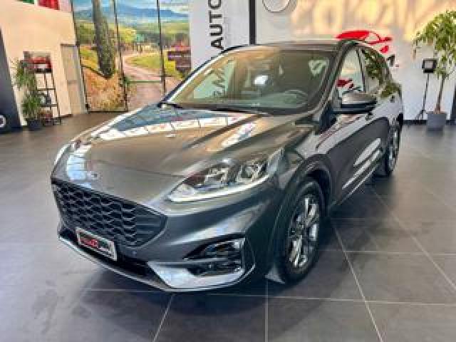 Ford Kuga 2.0 Ecoblue 120 Cv Aut. 2wd St-Line Business 