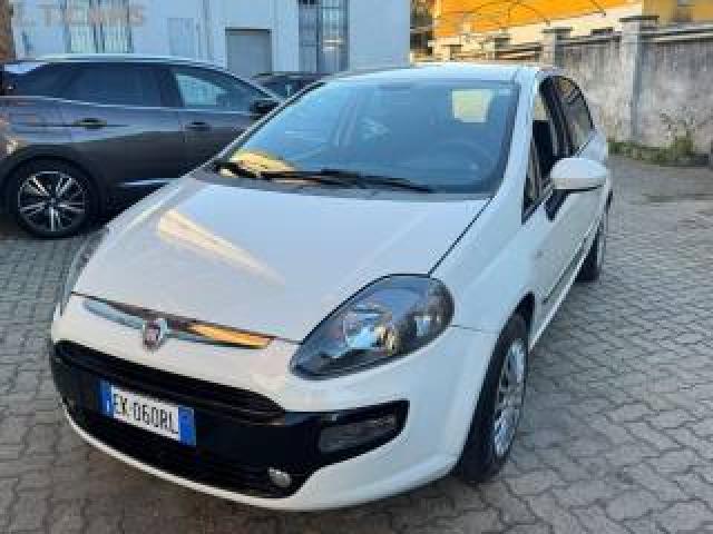 Fiat Punto Evo 1.2 5 Porte S&s Mylife Km. 34.000 !!! 