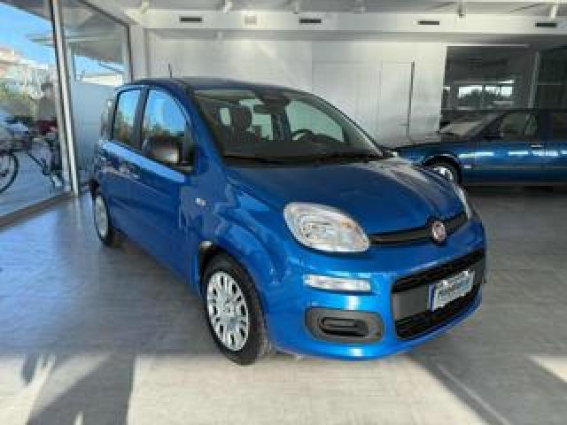Fiat Panda 1.0 Firefly S&s Hybrid Icon 