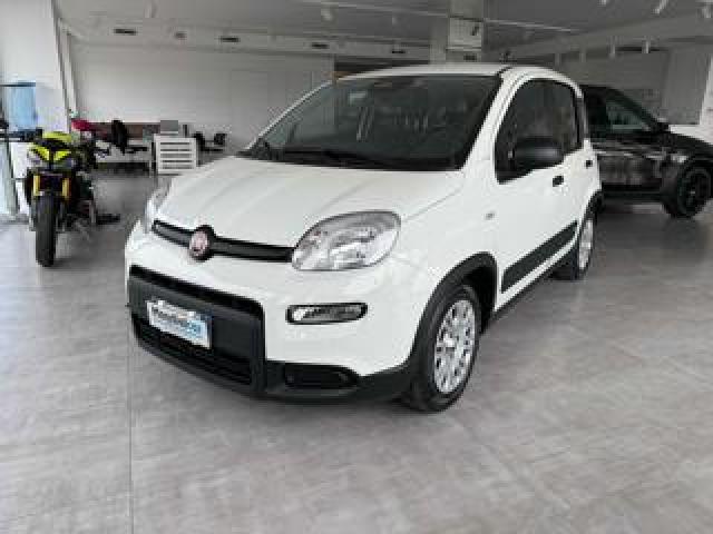 Fiat Panda 1.0 Firefly S&s Hybrid Pandina 