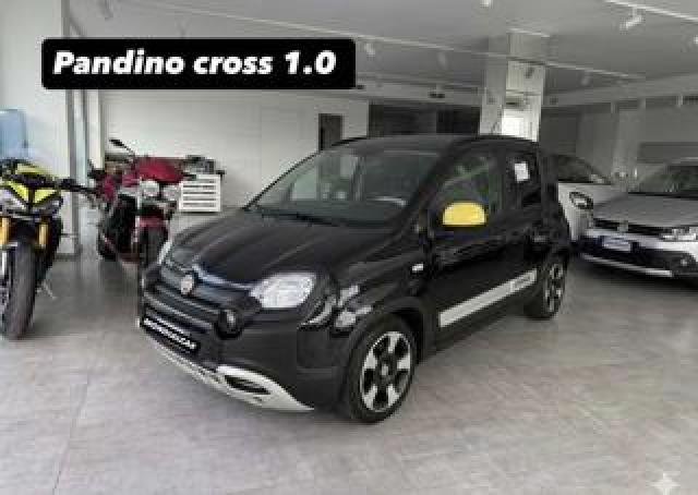 Fiat Pandina Cross 1.0 Firefly S&s Hybrid  
