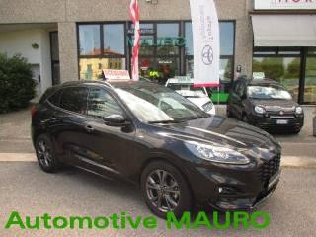 Ford Kuga 2.0 Ecoblue 120 Cv Aut. 2wd St-Line X 