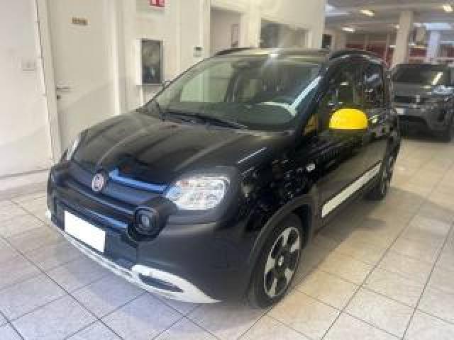Fiat Panda 1.0 Firefly S&s Hybrid Pandina Cross 