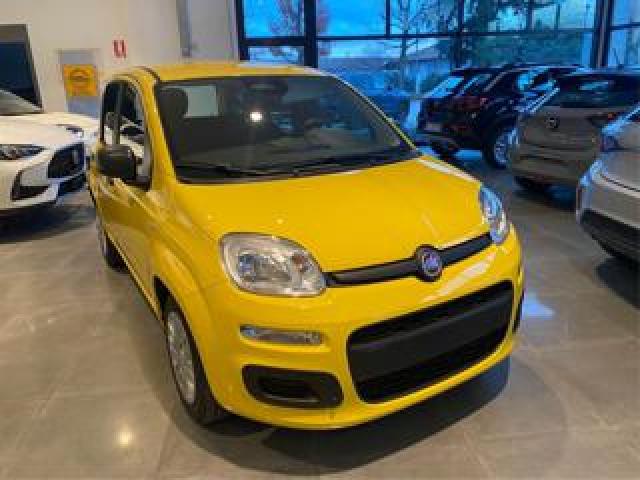 Fiat Panda 1.0  Hybrid/ Pronta Consegna/vari Colori 