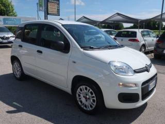Fiat Panda Panda Iii 2016 1.2 Easy S&s 