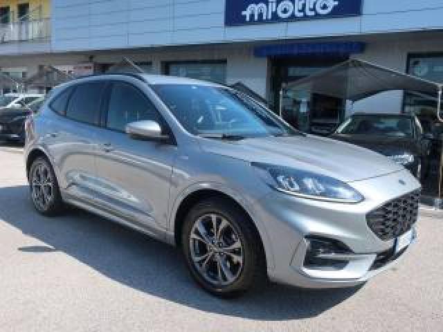 Ford Kuga Kuga 1.5 Ecoblue St-Line X 2wd 120cv Autom. 