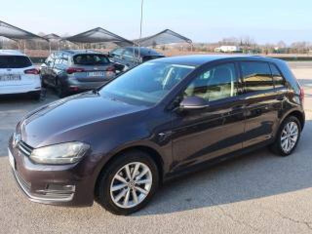 Volkswagen Golf 1.6 Tdi Lounge 5p Dsg 