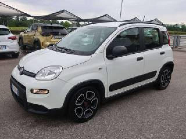 Fiat Panda Panda Iii 1.0 Firefly Hybrid City Life S&s 