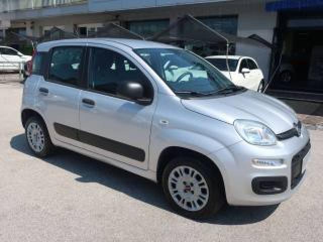 Fiat Panda Panda 1.2 Easy S&s - Prezzo Reale 