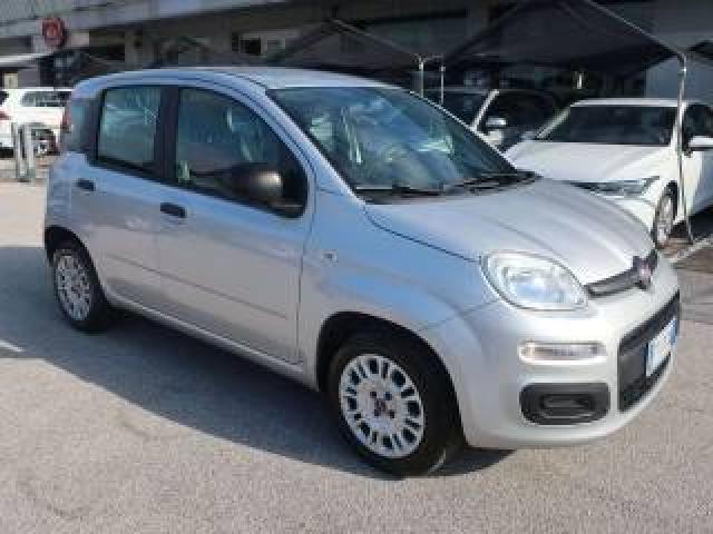 Fiat Panda Panda Iii 2016 1.2 Easy S&s - Prezzo Reale 